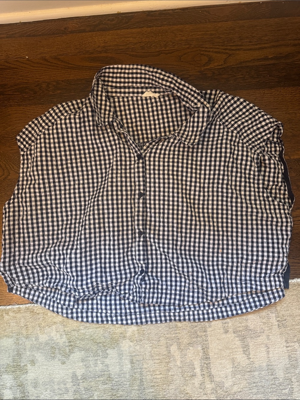 Splendid Navy and White Gingham Button-Up Shirt, cropped